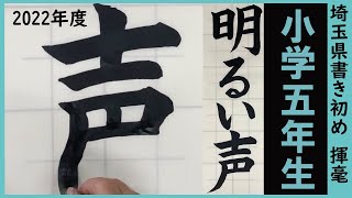 埼玉県書き初め課題書いてみました！小学5年生編【書き初め】【埼玉県】【小5】 [upl. by Attena]