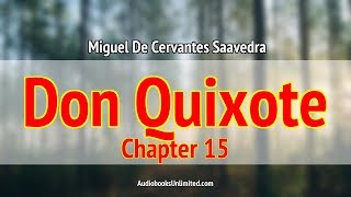 Don Quixote Audiobook Chapter 15 [upl. by Marlyn719]