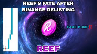 REEF COIN FAKE PUMP IN SEPTEMBER 2024‼️ REEF FINANCE LIFE AFTER BINANCE DELISTING‼️ DO NOT BE FOOLED [upl. by Llecrup270]