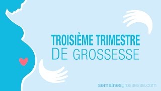 Troisième trimestre de grossesse  La grossesse trimestre par trimestre [upl. by Merola]