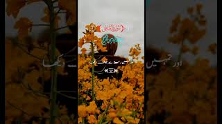 relaxing duet duetvoice inspirationalquotes urdu translationtafseerofquran motivation [upl. by Renny]