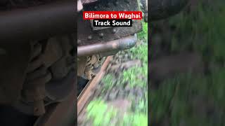 Bilimora to Waghai Narrow Gauge train  track Sound shorts indianrailways [upl. by Gillan]