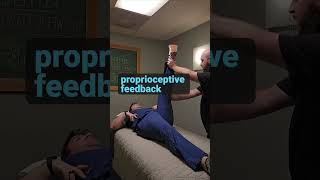 What is Proprioceptive Neuromuscular Facilitation PNF and How Can YOU Benefit From It rehab [upl. by Yrotciv506]