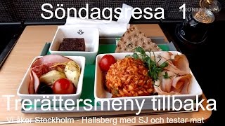 20170121 Söndsgsresa Del 1  Stockholm  Hallsberg med SJ [upl. by Odella329]