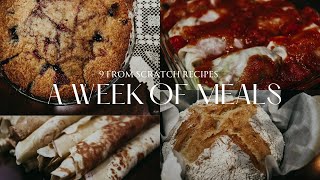 A Week of Meals on the Homestead  9 Recipes for Meal Inspiration [upl. by Gesner224]