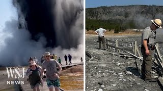 Watch Tourists Run From Hydrothermal Explosion in Yellowstone  WSJ News [upl. by Enihpets]