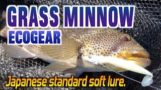 Ecogear Grass Minnow The Japanese standard soft lure Review and Fish [upl. by Noeled]