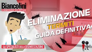 🔴​⚠️Come eliminare le termiti la guida definitiva🔴​⚠️ [upl. by Morrison]