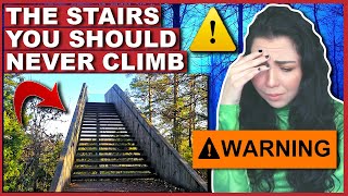 People Are Going MISSING After Finding Stairs In The Woods [upl. by Critchfield158]