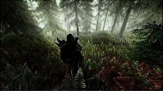 SKYRIM PS5  Ultimate Mod load order [upl. by Aia]