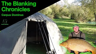 MONSTER CARP  Chasing 77LB CHUNKS in France  Valle Lake  72 Hour Autumn Session [upl. by Meryl385]