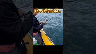 【東京湾サワラ】ブレードジギングでヒットしたのは… fishing サワラ ブレードジギング [upl. by Naleek]