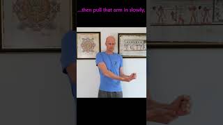 Fix Front Shoulder Pain Biceps Tendonitis [upl. by Viki328]