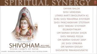 Spiritual Synergy Shivoham Divine Chants of Shiva HINDI Anuradha Paudwal Full Audio Songs Juke Box [upl. by Maressa210]