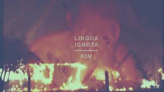 Língua Ignota  Kim Eminem Cover [upl. by Atisor431]