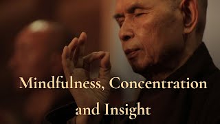 How to Fight Injustices Without Being Consumed with Anger  Thich Nhat Hanh [upl. by Alekin590]