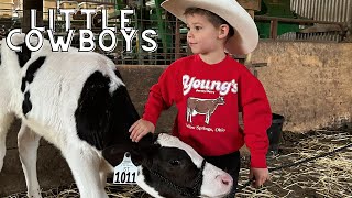 Little Cowboys Get to know Their NEW cows KIDS ON FARMCATTLETRACTOR STORETOYSANIMALSLEARNING [upl. by Janith]