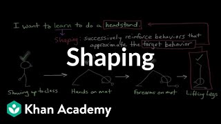 Operant conditioning Shaping  Behavior  MCAT  Khan Academy [upl. by Reinaldo]