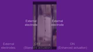 Electrostatic actuation of ionic polymer metal composites IPMCs [upl. by Adnuhser928]