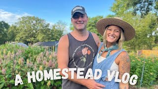 A Homestead Vlog  Day In The Life [upl. by Kissee683]