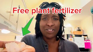 Free plant fertilizer  DIY plant food  gardening smart [upl. by Ralyat]