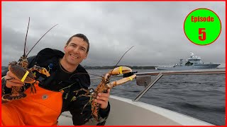 Hauling the lobster pots Fishing in Norway Hummerfiske i Kristiansand [upl. by Hallimaj]