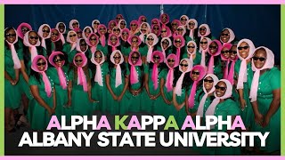 Albany State Alpha Kappa Alpha Fall 23 Probate [upl. by William]