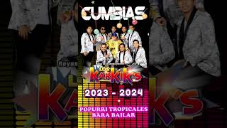 🔆Cumbias Viejitas Tropicales✨Las Mejores Cumbias Mix Tropical FloridaLos KarkisAcapulco Tropical… [upl. by Adnawaj]