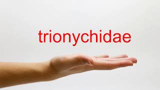 How to Pronounce trionychidae  American English [upl. by Lenoel570]