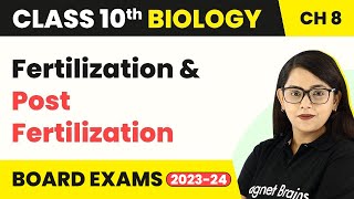 Class 10 Biology Chapter 8  Fertilization and Post Fertilization [upl. by Donnenfeld]