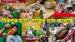 ঈদ উপলক্ষে বিশাল ডিসকাউন্টটিয়ার বাচ্চায় ভরপুর মিরপুর পাখির হাটMirpur 1 pakhir Haat [upl. by Annid]