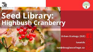 Seed Library Highbush Cranberry [upl. by Ginnifer]