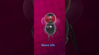 MOSQUITO DANCE LOL [upl. by Phip]