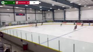 Edina vs Team Wisconsin [upl. by Martinson]