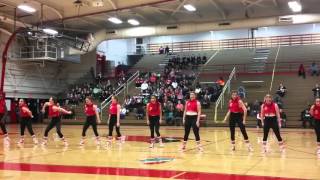 Reavis High School Dance Team 2015 Invitational [upl. by Phaih]