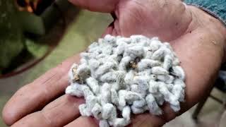 A Visit to a Cotton Gin and how it works [upl. by Naziaf]