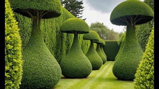 The Art of Topiary Shaping Nature into Stunning Forms [upl. by Jaquenetta555]