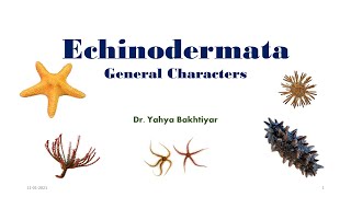 19 Echinodermata General Characters [upl. by Murat]