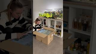 TETRA Unboxing aquarium aquascaping fishtank aquascape plantedaquarium fish [upl. by Suhail]