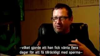 Lars Von Trier  quotBergman och hans kkquot [upl. by Norling586]