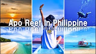 Apo Reef Natural Park Scuba Diving 아포리프 다이빙 [upl. by Just]