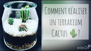 COMMENT FAIRE UN TERRARIUM CACTUS  DIY [upl. by Candide546]