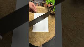 Extremely sharp good knife recommendation slicing knife [upl. by Enitsirc]