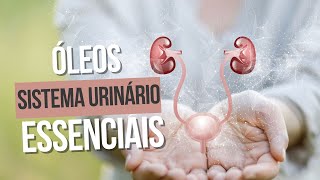 Óleos essenciais e SISTEMA URINÁRIO  RINS [upl. by Ofilia]