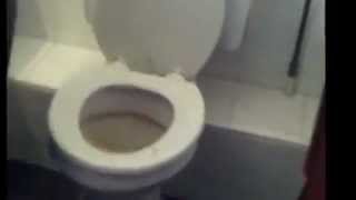 Unblock A Toilet the Irish Way [upl. by Cartwright228]