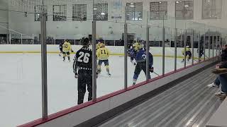 NAHL combine highlights [upl. by Markos]