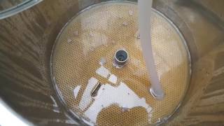 No Frills Hefeweizen in Grainfather [upl. by Uball723]