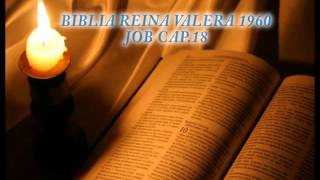 Biblia HabladaBIBLIA REINA VALERA 1960 JOB CAP 18 [upl. by Ynaffik]