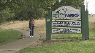 Tacoma Report Wapato Hills Park 83119 [upl. by Aihsal]