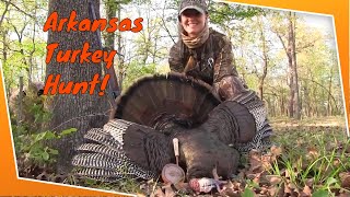 Turkey hunting  Arkansas spring turkey hunt [upl. by Craggie]